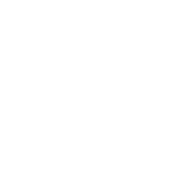 Festival IZIS